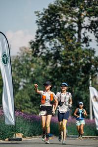 BIB: 
                            <button type="button" onclick="openModal(25925070)" class="btn btn-primary btn-sm float-right btn-popup" data-toggle="modal" data-target=".modal-high-quality">
                        <i class="fas fa-shopping-cart"></i> Add to Cart
                    </button>
                                            <button type="button" onclick="isThisMe(25925070, true)" class="btn btn-success btn-sm float-right btn-popup btn-isme hidden" data-toggle="tooltip" data-placement="bottom" title="นี่คือรูปของคุณใช่ไหม คลิกที่นี่เพื่อเอาเข้าอัลบั้ม">
                        <i class="fas fa-plus"></i> Add to album
                    </button>
                    <button type="button" onclick="isThisMe(25925070, false)" class="btn btn-warning btn-sm float-right btn-popup btn-isnotme hidden">
                        <i class="fas fa-ban"></i> Remove from album
                    </button>